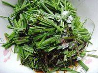 美味的凉拌韭菜做法图解5)