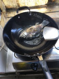 珍馐美味的鲫鱼豆腐汤做法图解3)