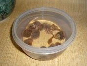 瑶柱白粥做法图解3)