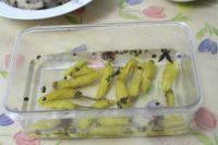 自制泡椒凤爪做法图解4)