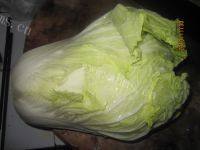 简单版白菜炒肉做法图解2)
