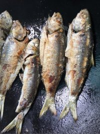 香煎海鱼做法图解3)