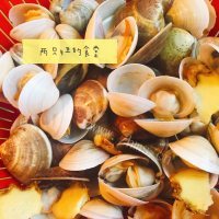 美味的蛤蜊冬瓜汤做法图解2)