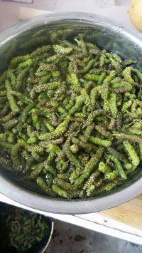 别样的蒸构树穗做法图解1)