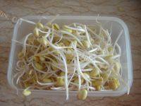 家常菜黄豆芽炒肉片做法图解1)