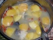 美味的苹果生鱼汤