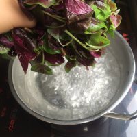 健康素蘸红苋菜做法图解5)