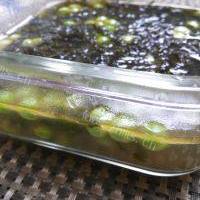 紫菜豌豆鸡汤的做法图解八