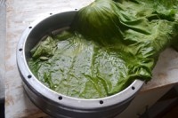 美味的荷叶蒸饭做法图解14)