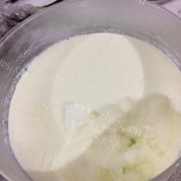 奶粉制作酸奶的做法图解五
