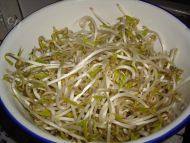 简易版醋溜绿豆芽做法图解1)