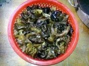 家常菜黑木耳炒肉片做法图解1)