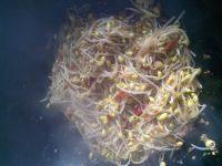 家常菜豆芽粉丝