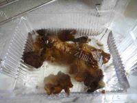 家常菜肉片炒山药做法图解3)