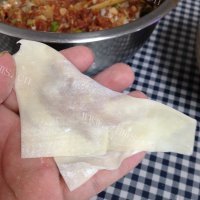 美味的鸡汤馄饨做法图解11)