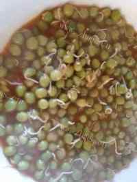 酸香番茄豌豆做法图解5)