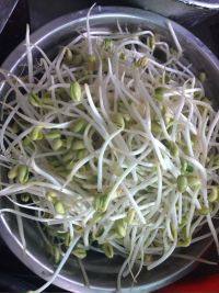 家常菜黄豆芽炖粉条做法图解2)