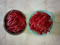 美味特色脆辣椒做法图解1)