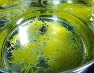 爽口的自制柚子茶做法图解5)