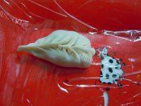 自己做的柳叶煎饺做法图解11)