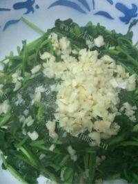 家常菜蒜香西洋菜做法图解6)