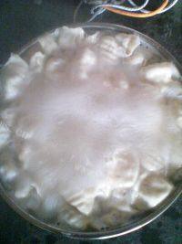 自制猪肉白菜饺子做法图解11)