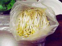 自制绿豆芽