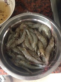 美味的红烧虾做法图解1)
