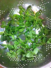 特色薄荷绿豆薏米汤做法图解7)