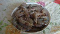 甘脆的番茄大虾做法图解1)