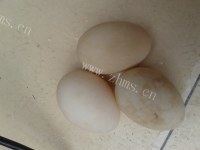 家常菜炒鸭蛋做法图解1)