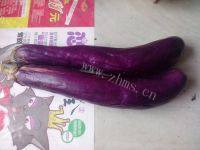 鲜香美味酱烧茄子做法图解1)