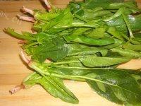 凉拌菠菜（简单版）做法图解3)