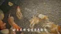 养生白菜虾仁粥做法图解13)