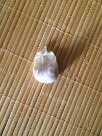 香气浓郁的鲜肉小馄饨做法图解5)
