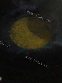 自己做的咖喱牛腩做法图解7)