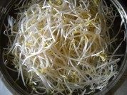 香糯的素炒绿豆芽做法图解2)