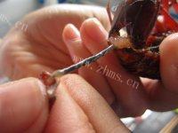 易做的麻辣小龙虾做法图解5)