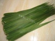 粽子的做法做法图解1)