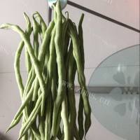 四季豆做法图解1)