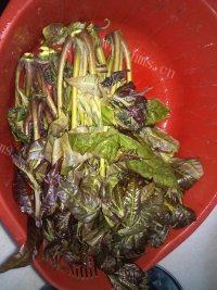 简单的炸香椿鱼做法图解1)