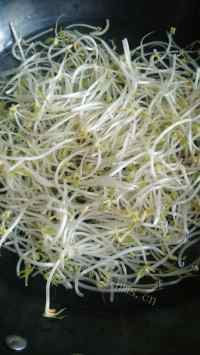 家常菜凉拌绿豆芽做法图解2)