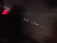 家常芹菜炒肉丝做法图解3)