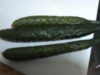 下酒菜麻汁黄瓜做法图解1)