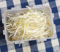 家常菜芹菜炒豆芽做法图解3)