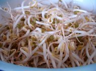家常菜肉丝炒豆芽做法图解1)