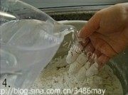 美味的青菜大肉包做法图解4)