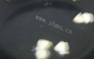 美味的蚝油肉片淋苦瓜做法图解4)