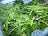 菠菜豆腐汤做法图解1)