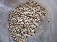 诱人的红豆薏米粥做法图解1)